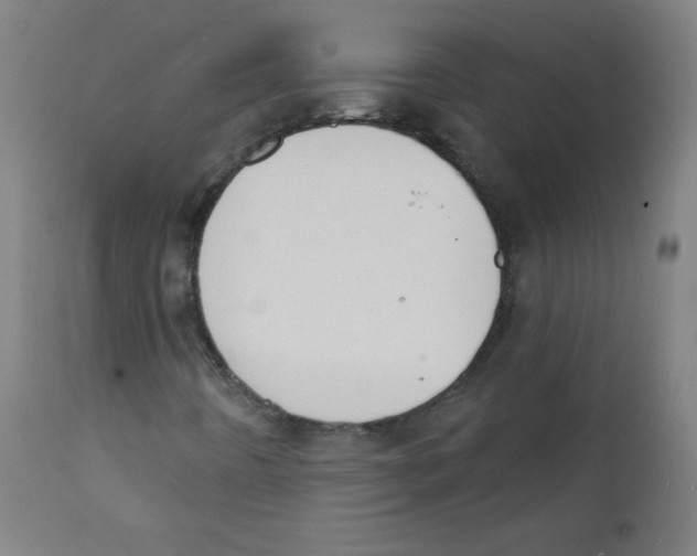 X0000112141442200909041028