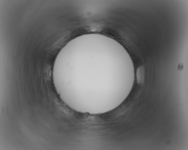 X0000112141443200909041028