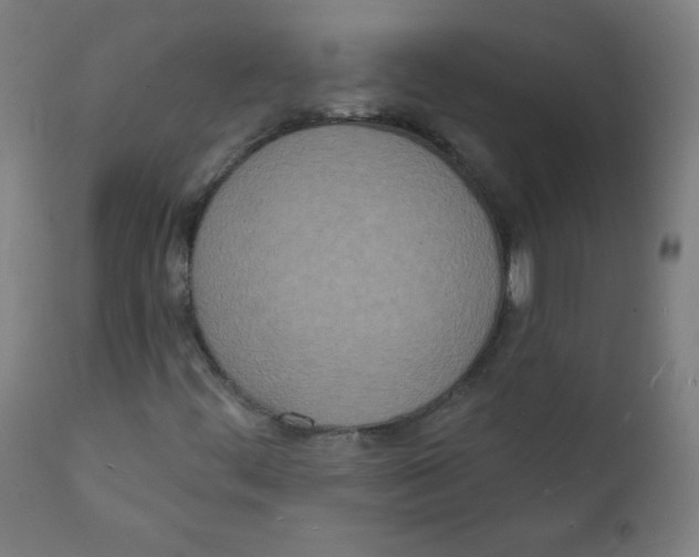 X0000112141444200909041028