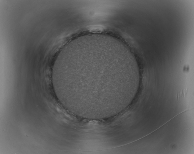 X0000112141445200909041028