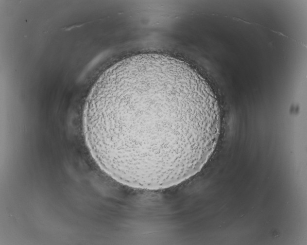 X0000112141446200909041028