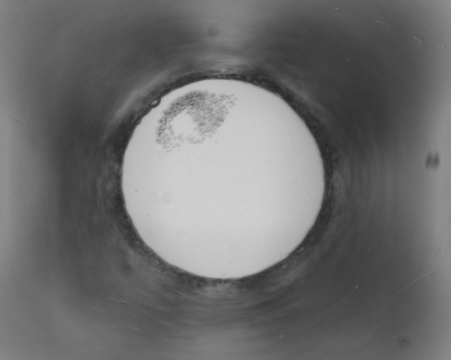 X0000112141447200909041028