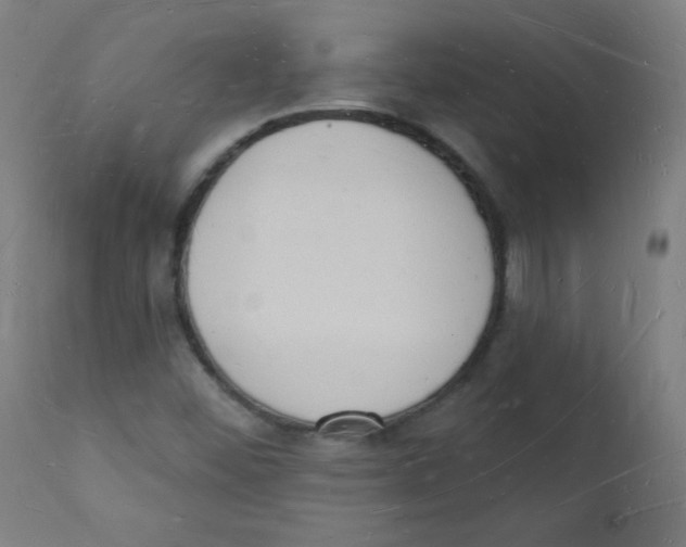 X0000112141452200909041028