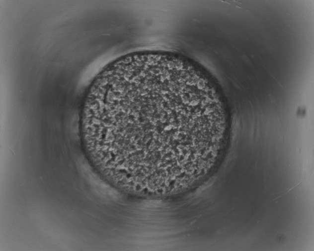 X0000112141455200909041028