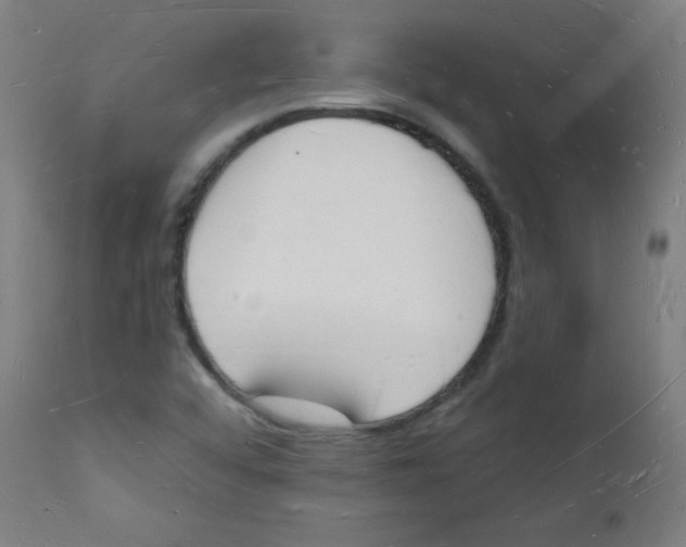 X0000112141456200909041028