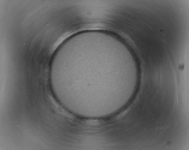 X0000112141457200909041028