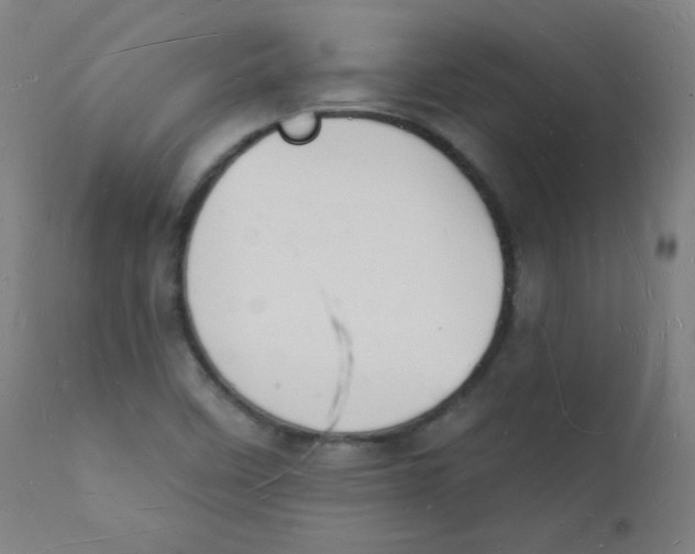 X0000112141458200909041028