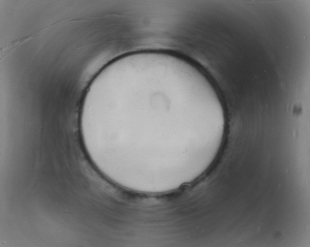 X0000112141459200909041028