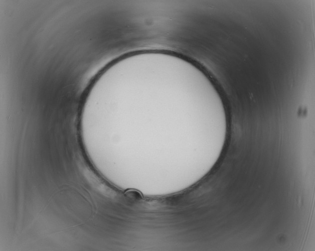 X0000112141460200909041027