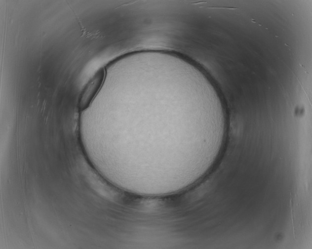 X0000112141461200909041027