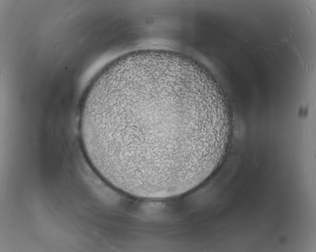 X0000112141462200909041027