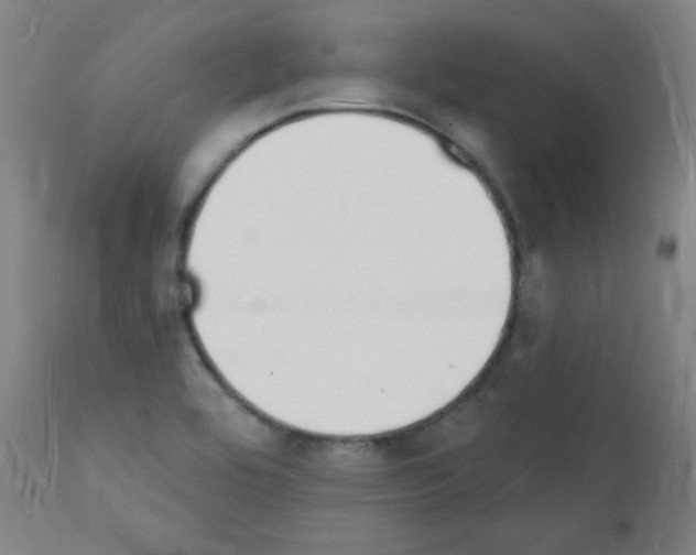 X0000112141464200909041027