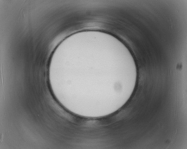 X0000112141467200909041027