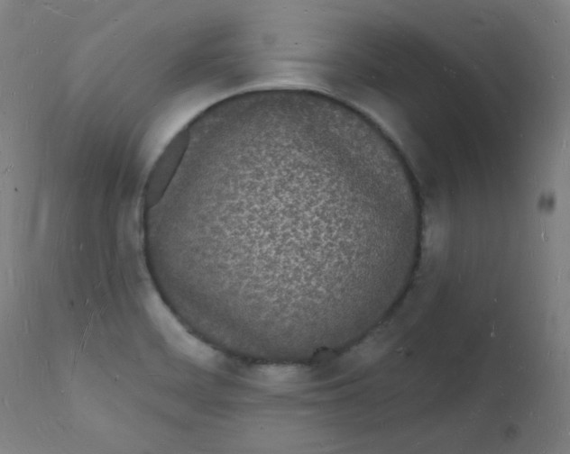 X0000112141468200909041027