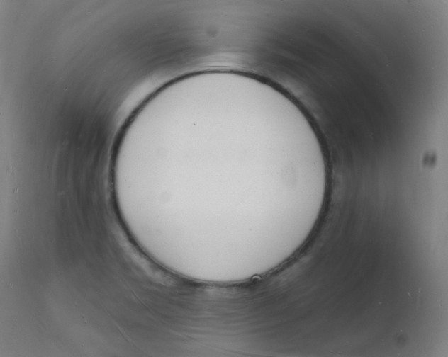 X0000112141469200909041027