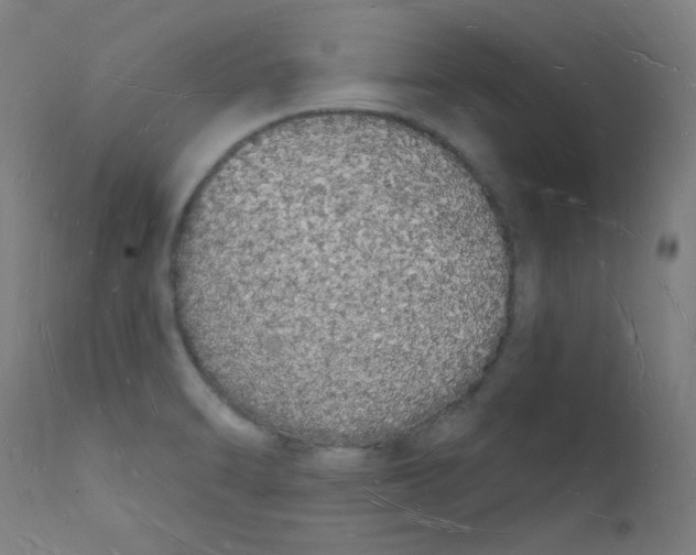 X0000112141470200909041027