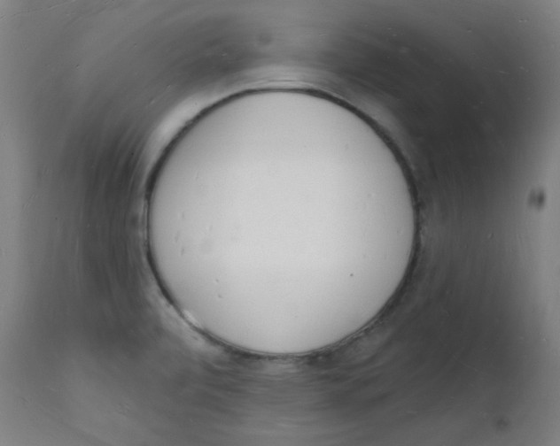 X0000112141472200909041027