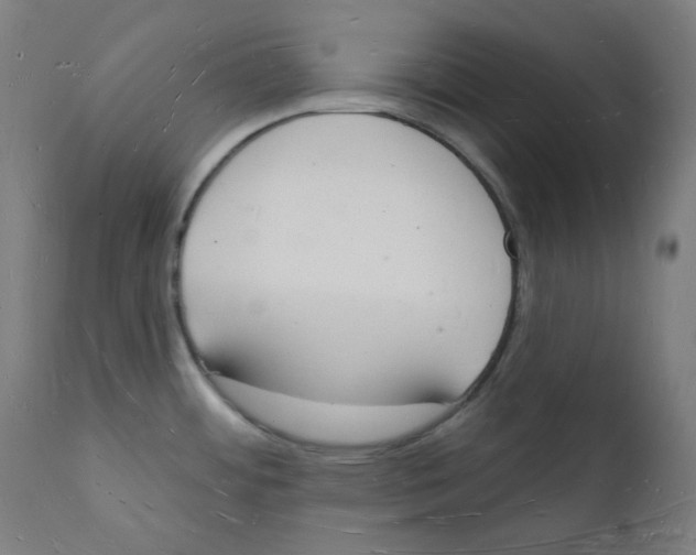 X0000112141484200909041027