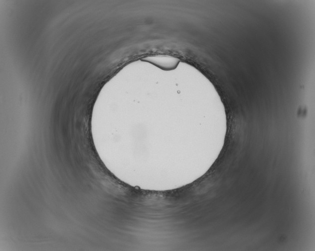 X0000112141489200909041026