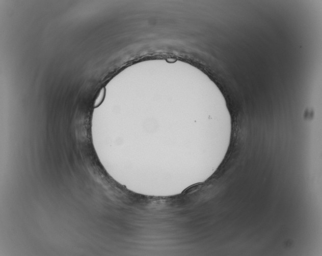 X0000112141490200909041026