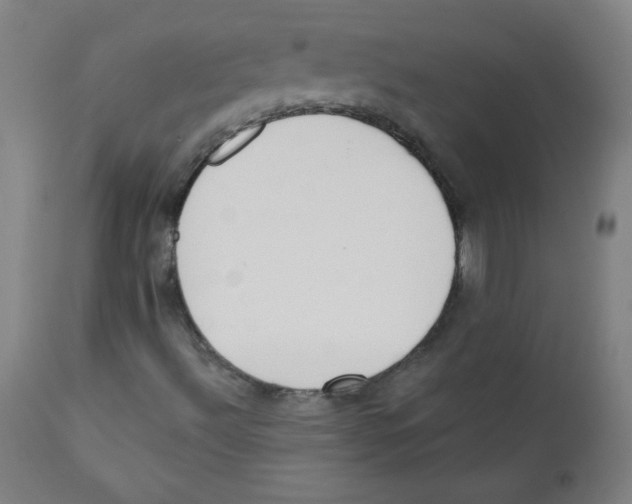 X0000112141492200909041026