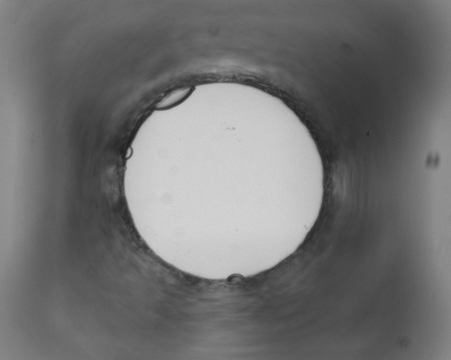 X0000112141493200909041026