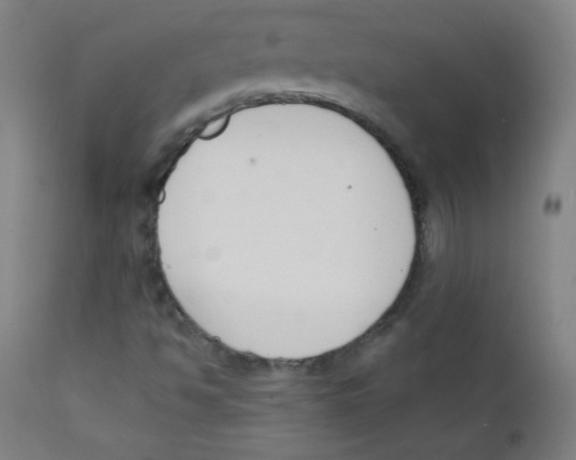 X0000112141494200909041026