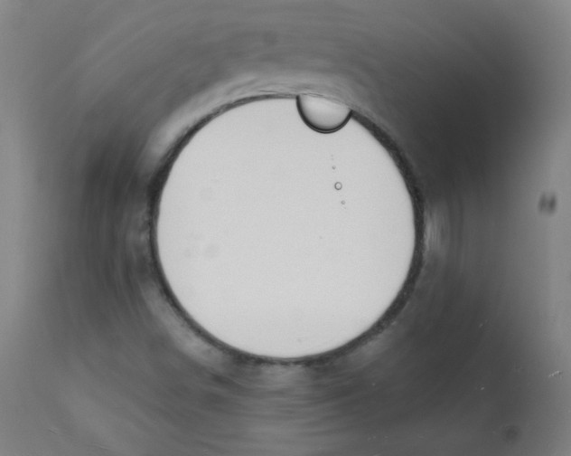 X0000112141498200909041026