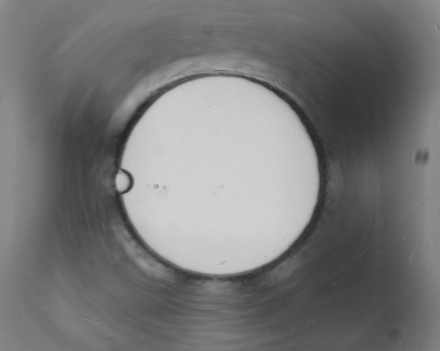 X0000112141499200909041026