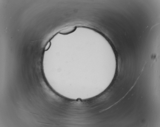 X0000112141500200909041026