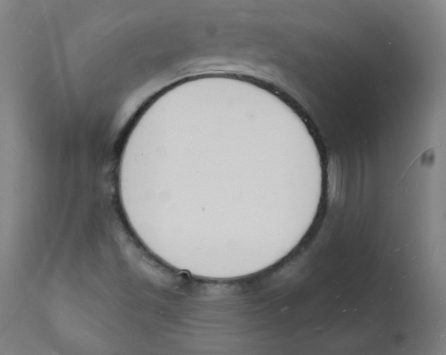 X0000112141501200909041026