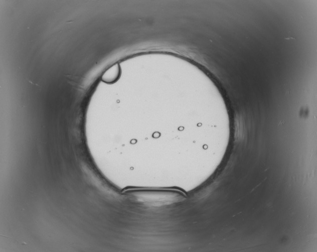 X0000112141502200909041026