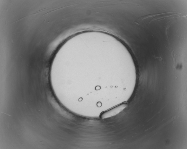 X0000112141503200909041026