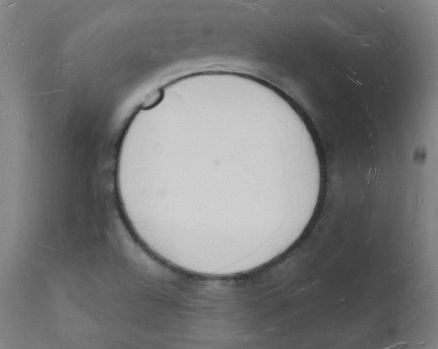 X0000112141504200909041026