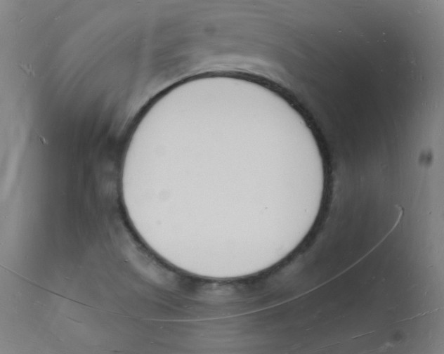 X0000112141505200909041026