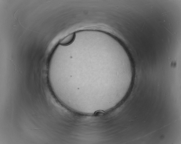 X0000112141506200909041027