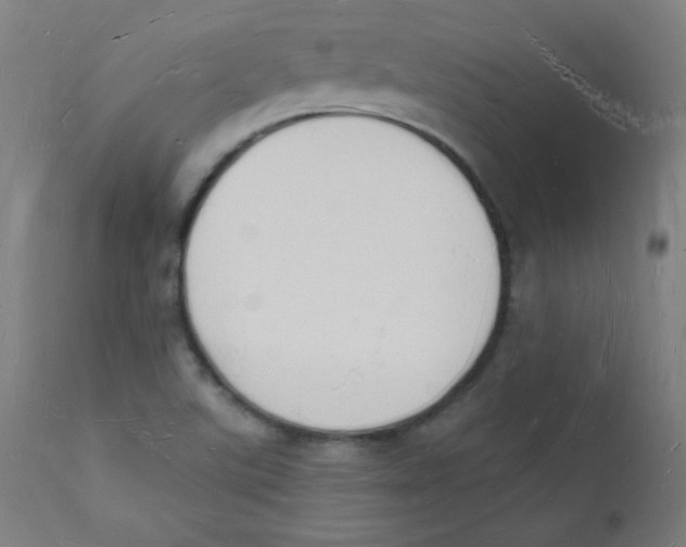 X0000112141507200909041027