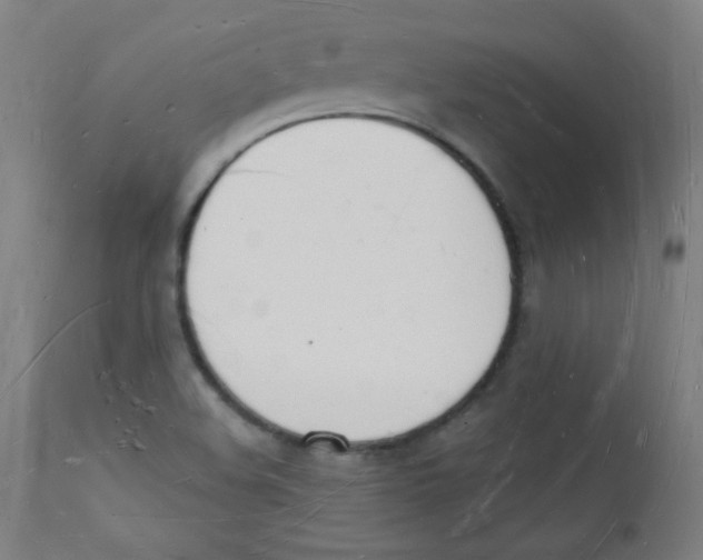 X0000112141508200909041027