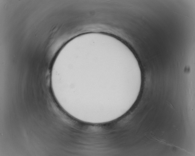 X0000112141509200909041027