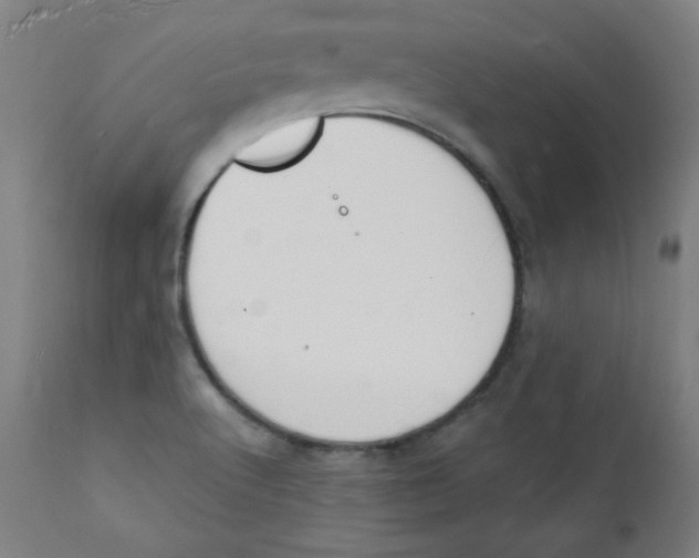 X0000112141512200909041027