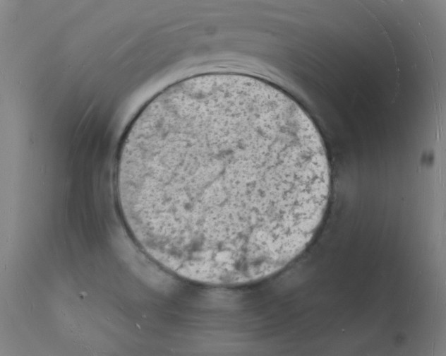 X0000112141514200909041027