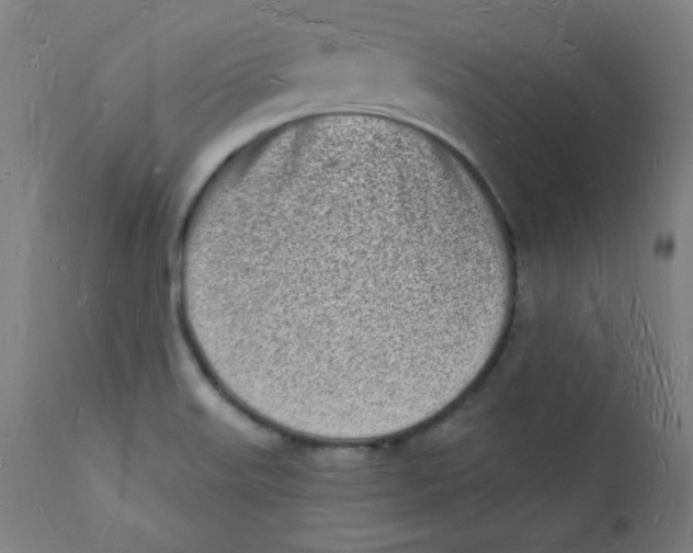 X0000112141515200909041027