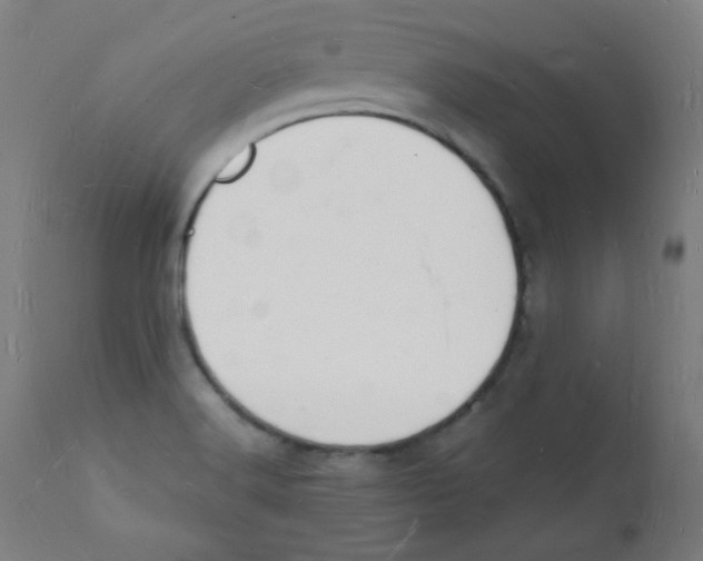 X0000112141516200909041027