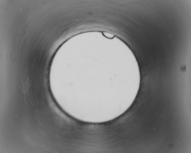 X0000112141518200909041027