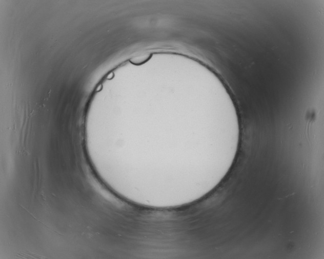 X0000112141519200909041027