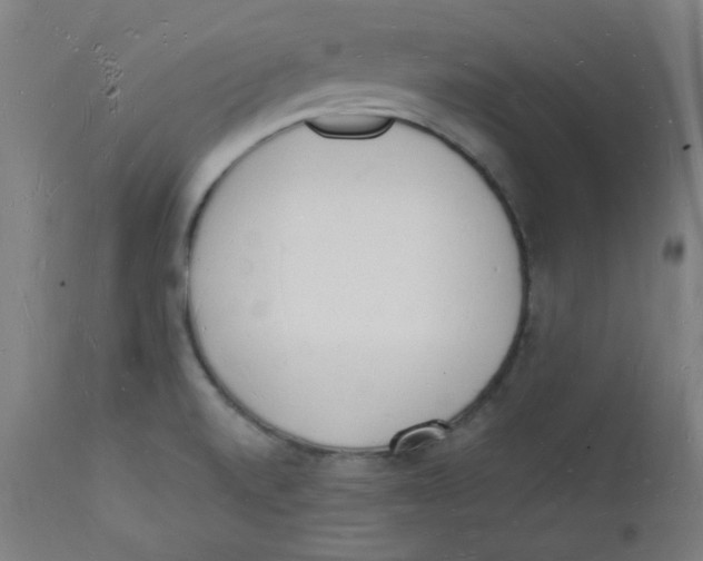 X0000112141520200909041027