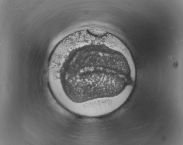 X0000112141522200909041027