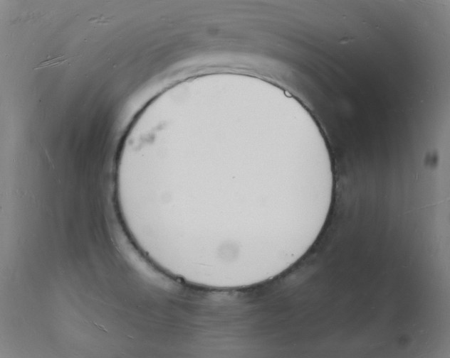 X0000112141523200909041027