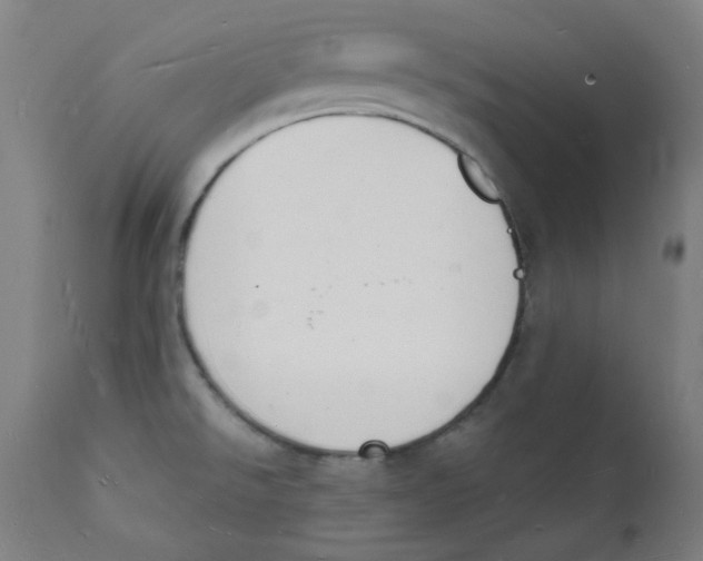 X0000112141526200909041027