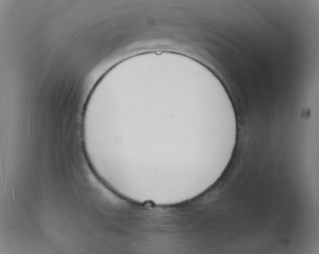 X0000112141527200909041027